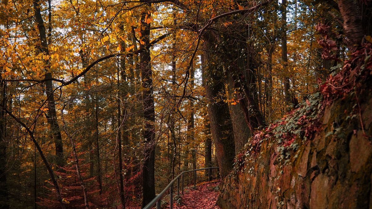 Choosing the Best Trail Shoes for Muddy Conditions