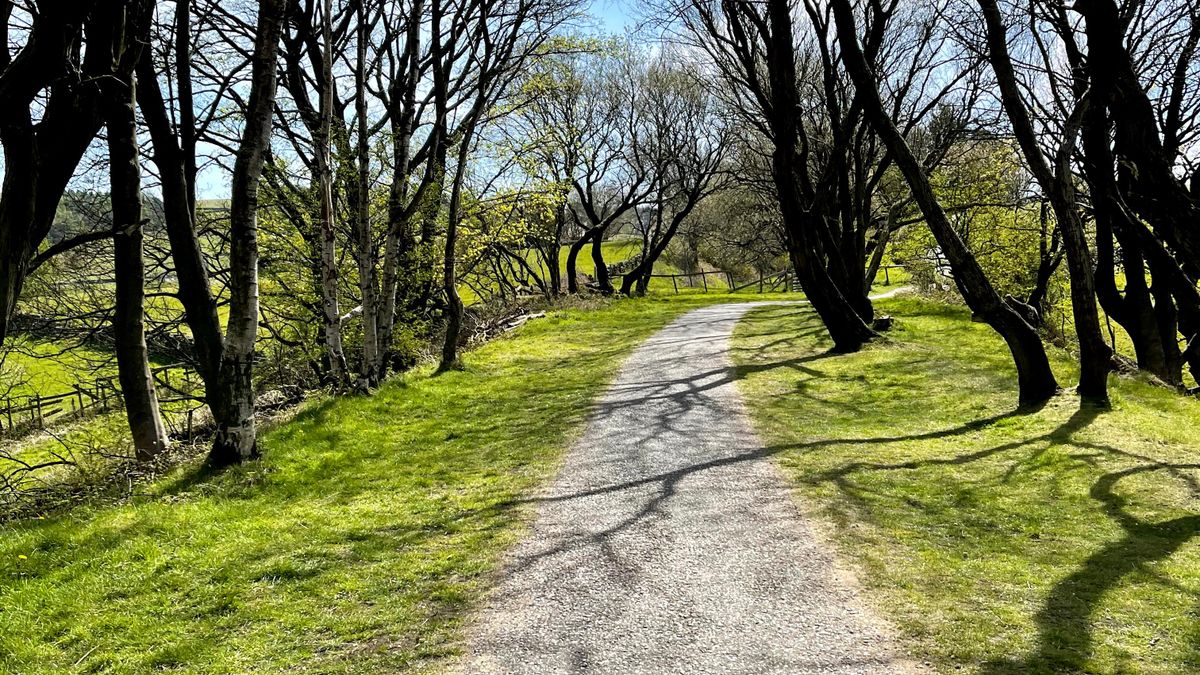 Family-Friendly Riverside Walks with Pushchair Access