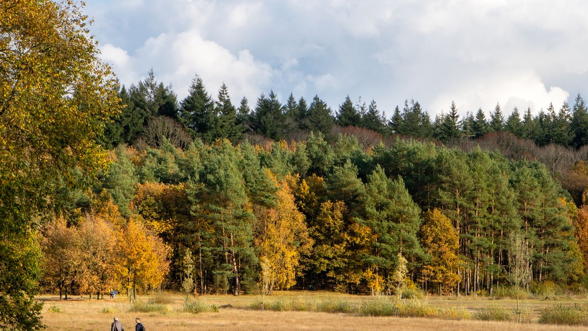 Finding Accessible Toilets and Facilities on Walks