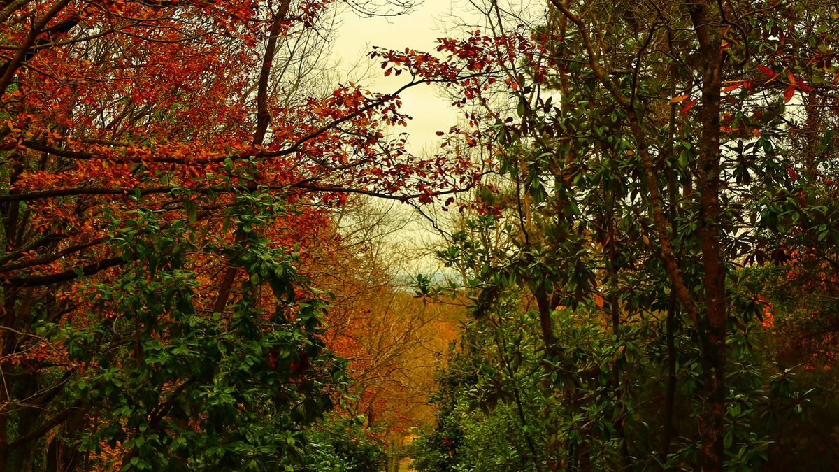Photographing Landscapes Without Leaving the Footpath